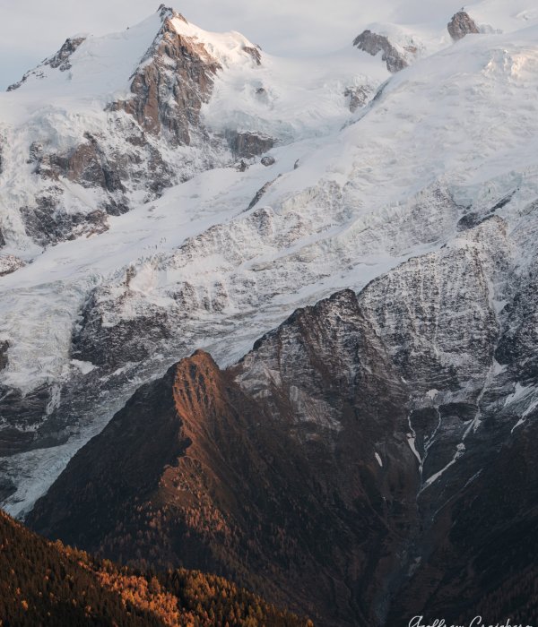 Animalier-Paysage (14)