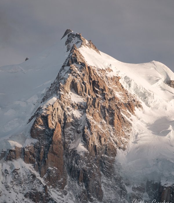 Animalier-Paysage (15)