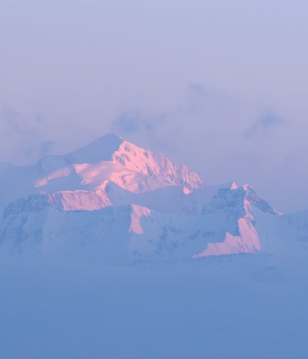 Animalier-Paysage (23)