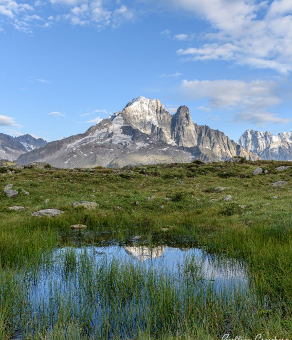 Animalier-Paysage (27)