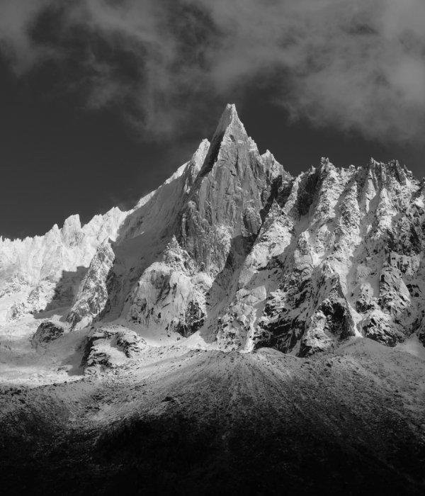 Animalier-Paysage (40)