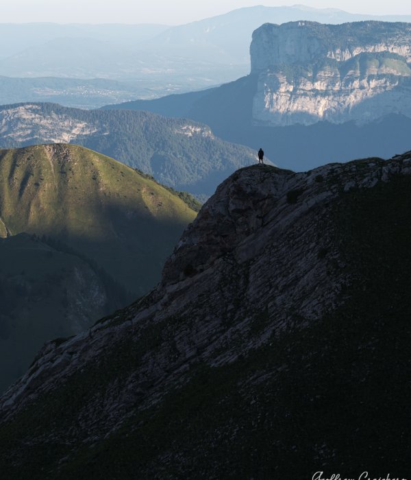Animalier-Paysage (6)