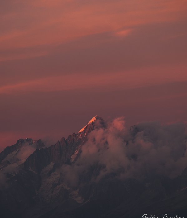 Animalier-Paysage (7)