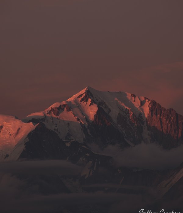 Animalier-Paysage (8)