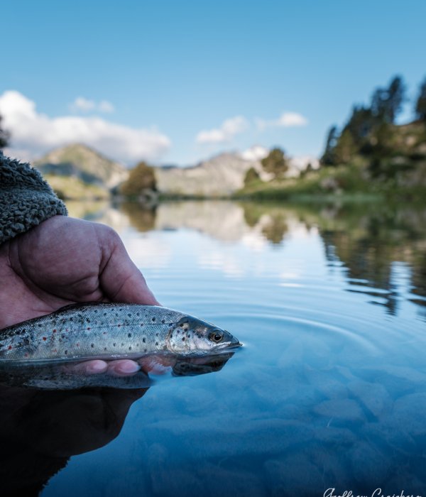 Pêche (1 sur 20)