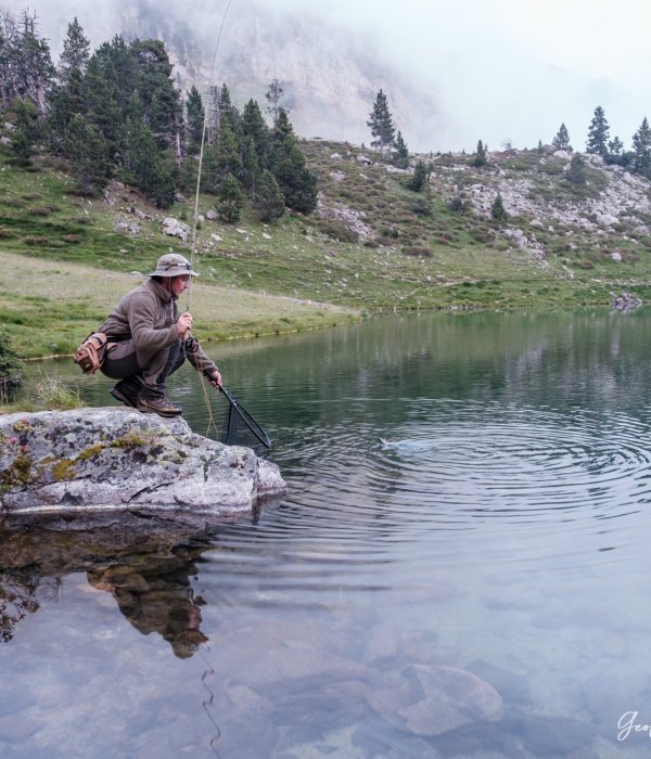 Pêche (2 sur 20)